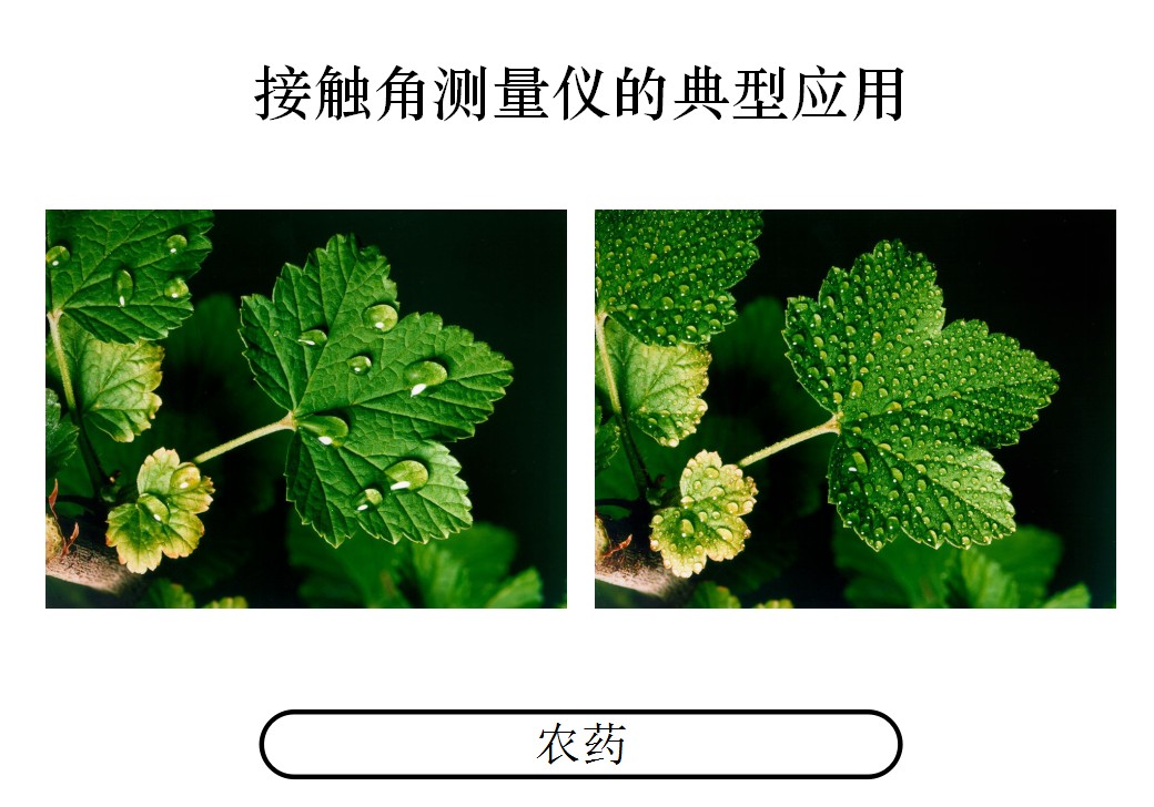 通過(guò)測(cè)量接觸角測(cè)量?jī)x測(cè)量特殊產(chǎn)品：如樹(shù)葉的潤(rùn)濕情況 